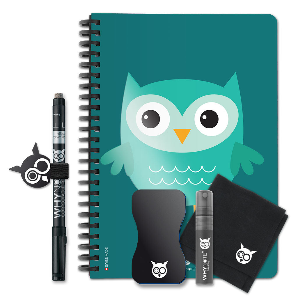 A5 - Cartoon Owl Blue Green